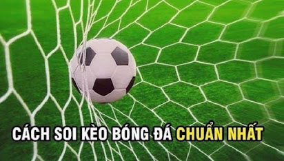 kinh nghiệm soi kèo